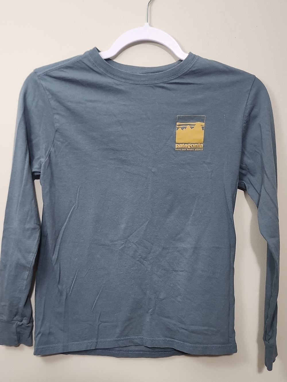 Patagonia Kids L/S Capilene Cool Daily Graphic Tee Blue L